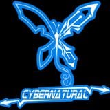 Electro Silver_CYBERNATURAL_DJ set live from club TVRDJAVA(INTELLIGENT MECHANICAL BEING)