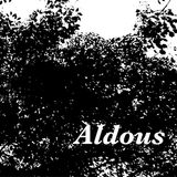 Aldous 1.0.