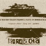 DJ MAURO TELEFUNKSOUL @Live in Borracharia ("Tropical Vibes Long Set "Jan 2012)