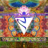 AkaSha Vibes @ Tribal Gathering 2015