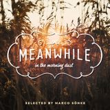 meanwhile … in the morning dust (2014)