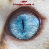Maiky - Midnight Scream 34
