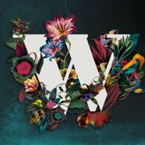 Wilderness Valley 2015 - Mojo Filter mixtape