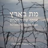 ISRAEL'S MEMORIAL DAY MIXTAPE - EDITED BY YARON BROIDE
