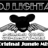 Old Skool Jungle Mix. I done this a while back. You will find *rare* jungle tracks on this mix.