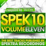 DJ FEN - Spek10 Vol.11