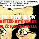 In The Raw- Killed By Garage Fuzz Psychedelia