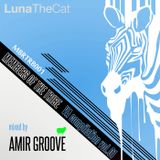 MEMBERS OF THE TRIBE VA COMPILATION VOL.1 MIXED BY AMIR GROOVE