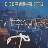 A Dam Short Trip (Homage To Amsterdam)