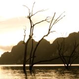 The Way of Nature and The Way of Grace