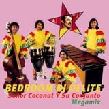 Señor Coconut Y Su Conjunto Megamix