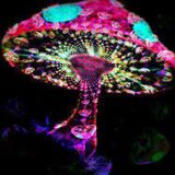 PsyProgressiveMix2.1.14!!!;))