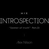 Introspection (Phase 1) - Alex nilson