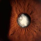 Cloudy Vision (Part Three)