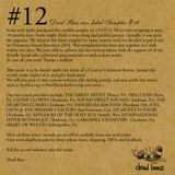 Dead Bees records label sampler 12 - 2014 - various artists
