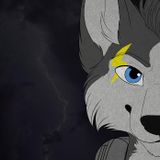 The Perfect Storm (Live at Anthrocon 2015)
