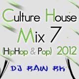 DJ RAW RK_Culture House Mix 7 (Hip-Hop & Pop) 2012