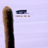 SOUNDAMERICA vol.14 selected by Leit