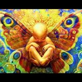 Progressive Psytrance demo for Chilled in a Field 2016