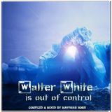 ·• WALTER WHITE IS OUT OF CONTROL •· by matthias horn
