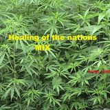 Reggae Vibes #5: Healing of the Nations mix