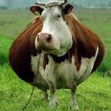 KÜTE presents 'Grande Mucca (Big cow)' mixed live by Danny 'Flip Jones