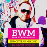 Bear World Magazine 2013 Year Mix