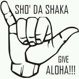 Hawaii & I &You