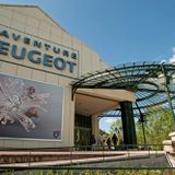 Les Coulisses de l'été - Atelier restauration au Musée de l'Aventure Peugeot