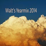 Yearmix 2014, Walt van der Hoeven