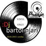 bartol njari - vinyl stuff
