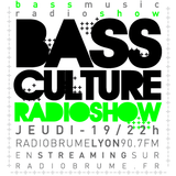 Bass Culture Lyon - part2 - 031011 - Rylkix Dnb