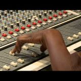 SCIENTIST IN THE MIX 2013