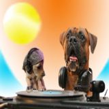 Michael Dog & Ben Invasion - Planet Dogmix show on Interface Radio 6/2/98