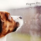 Flegma #27