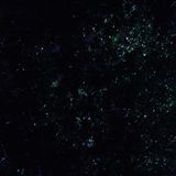 Space Safari