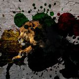 French Roots Reggae Mix