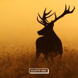 Eclectic Soul 18 w/ Gorillaz, Fatima, Amp Fiddler, Typesun, Rain Dog, Mos Def & more