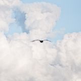 Deef - Fuselab Podcast 23