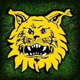Ilves & Keith "Keke" Armstrong