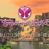 Yves V - Live @ Tomorrowland Brasil 2015 (Sao Paulo) - 02.05.2015