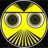 H.E.N.K. goes back II