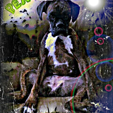 FETZER SET DEEP DUB TECHNO