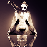 Experiment 'CRO' (Drölftausend Pandas)