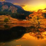 ToM!s 'autumn gold' FreedoM & Happ!nesS M!x 010 by djtomi