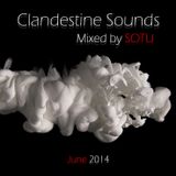 Clandestine Sounds - Mixed by SOTU aka DJ OBBY (June 2014)