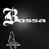 BOSSA´s minimalstation setup june 2014