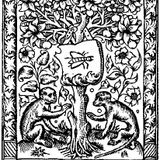 Liminal Stimuli: into Discordia