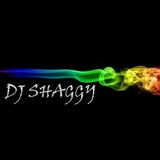 Dj Shaggy - Para Bailar Pegao Mix