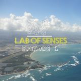 Lab Of Senses: Ep. 1